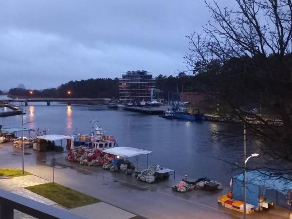 Apartament Z Widokiem Na Morze I Port Mrzeżyno Esterno foto